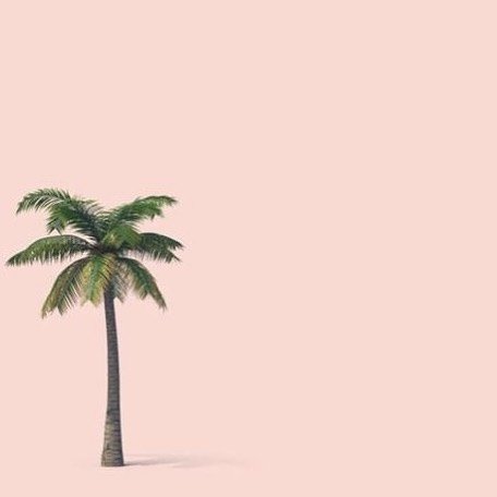 شاليه ديم الاحساء