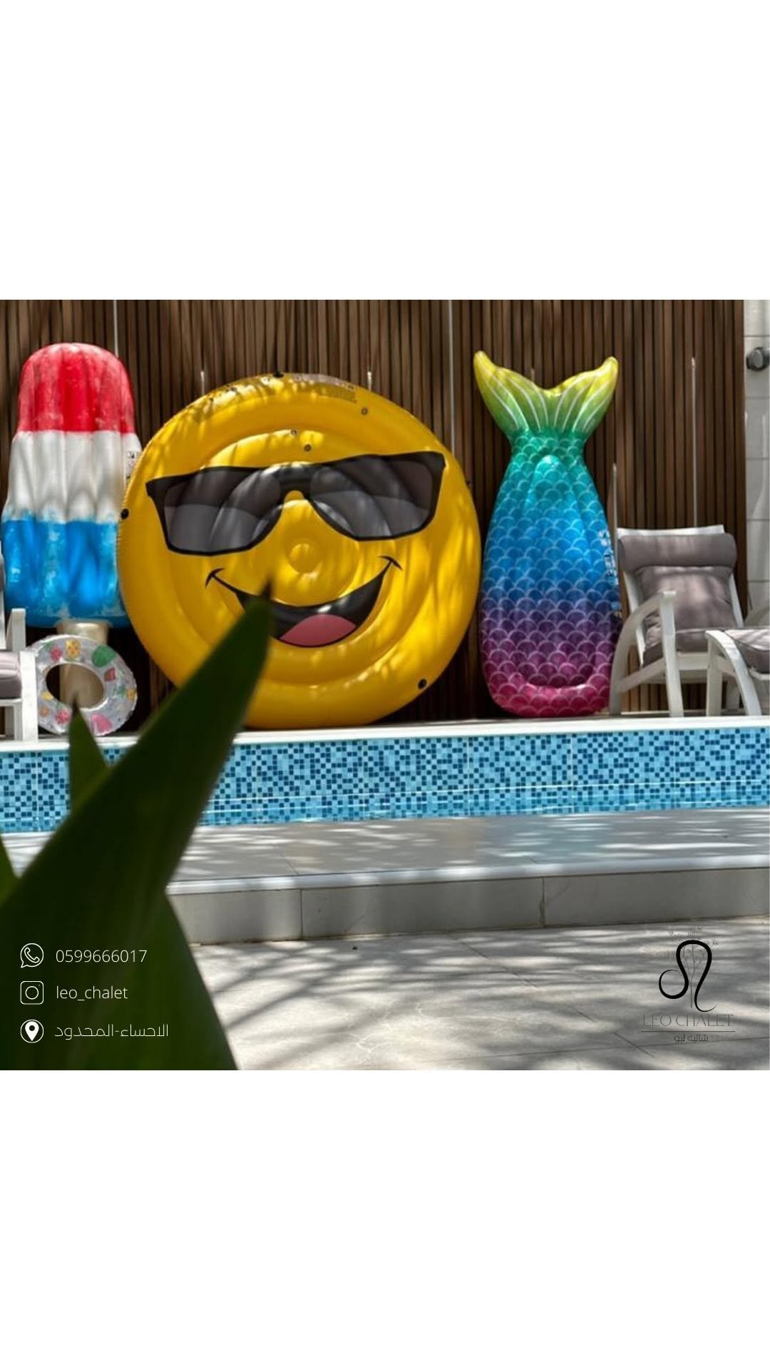 شاليه ليو