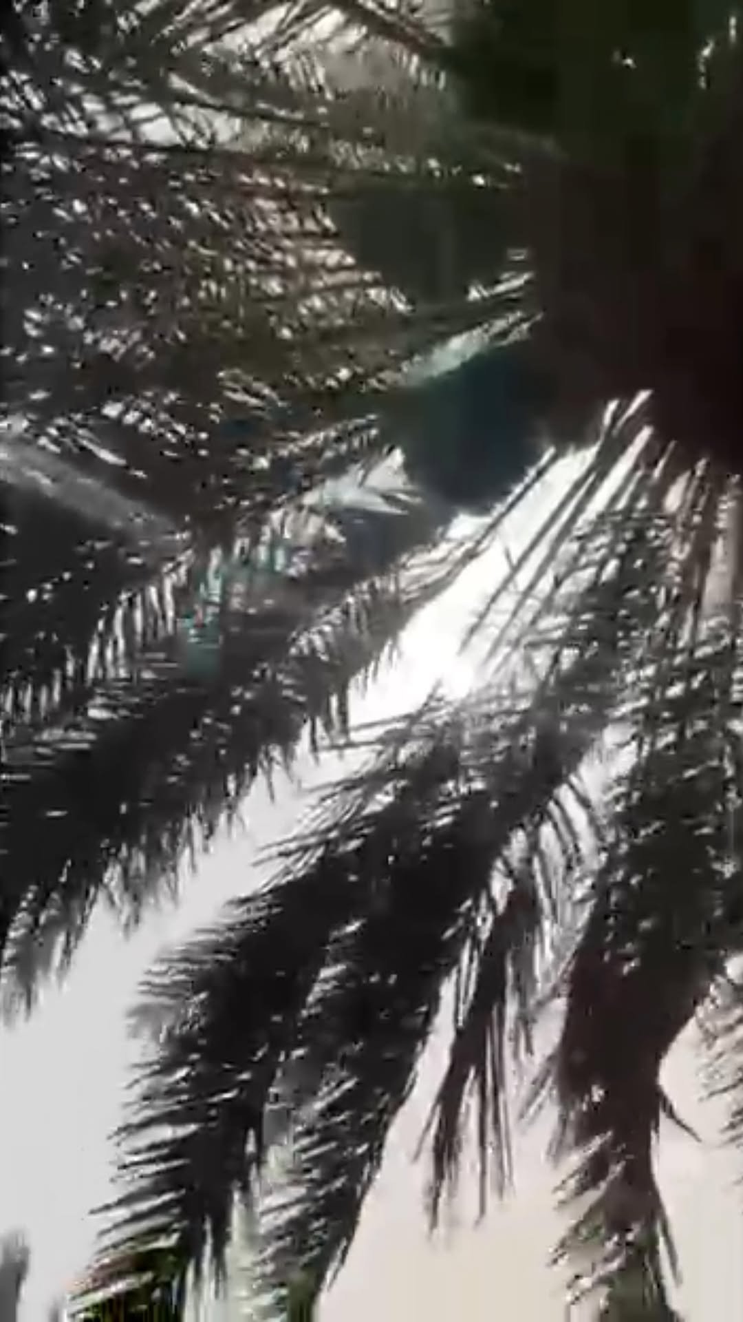 منتجع الدر