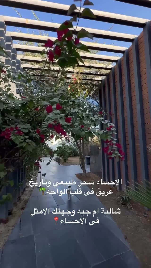 ام جيه فيليج MJ Village