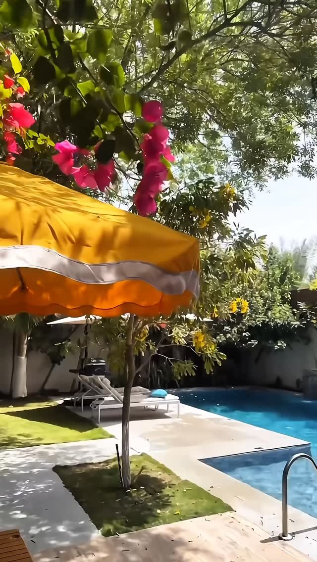 شاليهات ذا بالم