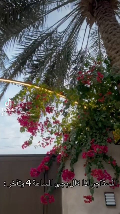 منتجع الكوخ