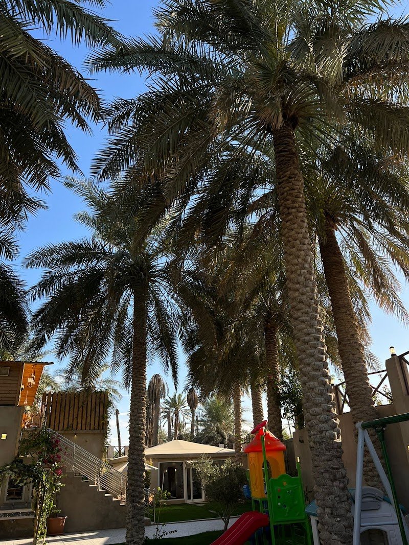 منتجع الكوخ