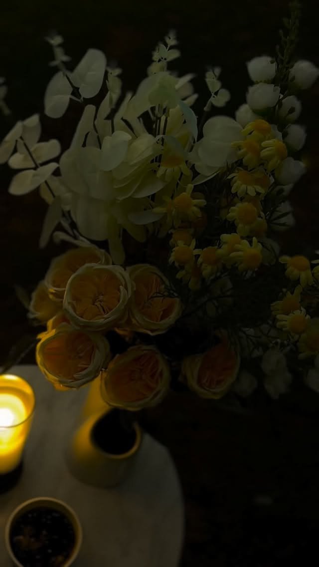 شاليه فلك